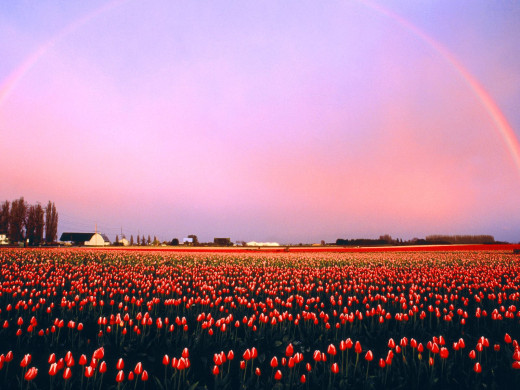 39237 (a): :1600x1200